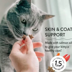 Shameless Pets Yam Good Salmon Crunchy Treats For Cats (2.5 oz)