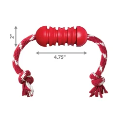 Shop KONG Dental w/Rope Teeth Cleaning Dog Chew Toy