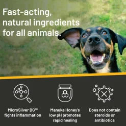Silver Honey Rapid Ear Care Vet Strength Ear Rinse