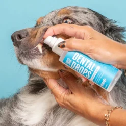 Skout's Honor Advanced Dog & Cat Dental Drops, 4-oz