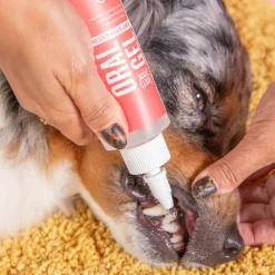 Skout's Honor Peanut Butter & Bacon Oral Gel for Dogs & Cat, 4-oz