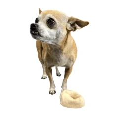 Small Dog Treat Party Pack