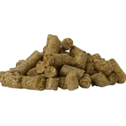 SmartEquine Treats Watermelon Basil Horse Treats