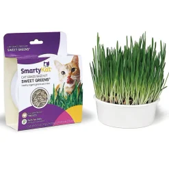 SmartyKat Sweet Greens Organic Oat Grass Grow Kit For Cats