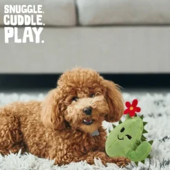 Snugarooz Chloe the Cactus Plush Dog Toy