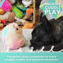 Snugarooz Drowsy Dragon Green Crinkle & Squeak Dog Toy (14