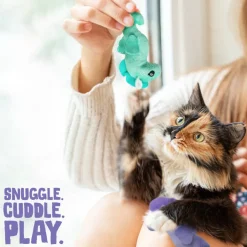 Snugarooz Kitty Seahorse with Catnip Cat Toys (2 Pack)