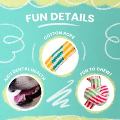 SnugArooz Puppy Fun Rope Dog Toy, Assorted Colors, 7