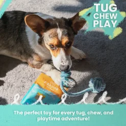 SnugArooz Puppy Fun Rope Dog Toy, Assorted Colors, 7