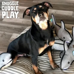 Snugarooz Saul the Shark with Rubber Spikey Ball Toy For Dogs (19