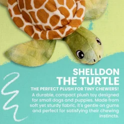 Snugarooz Shelldon the Turtle Green Dog Crinkle & Squeak Toy (10