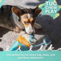 Snugarooz Spike-O-Mite Assorted Colors Dog Rope Toy (16