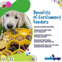 SodaPup Honeycomb Enrichment Slow Feeder eBowl for Dogs (8