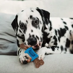 Spot Bam-Bones Dental Chew Toy For Dogs Bacon Flavor, 6.5