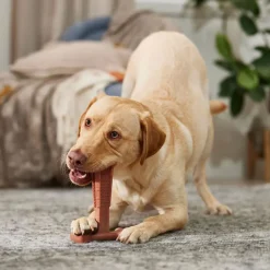 Spot Bam-Bones Plus Beef Flavor Dog Chew Toy