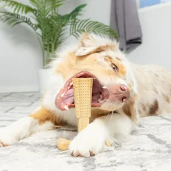 Spot Bam-Bones Plus Chicken Flavor Dog Chew Toy
