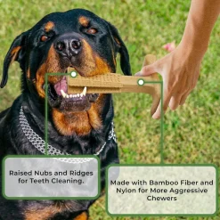 Spot Bam-Bones Plus Chicken Flavor Dog Chew Toy