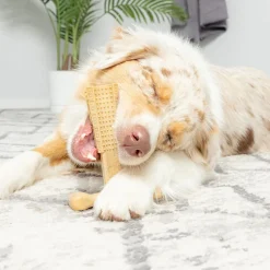 Spot Bam-Bones Plus Chicken Flavor Dog Chew Toy
