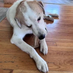 Spot Bam-Bones Plus Chicken Flavor Dog Chew Toy