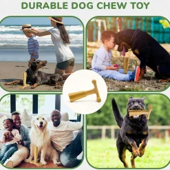 Spot Bam-Bones Plus Chicken Flavor Dog Chew Toy