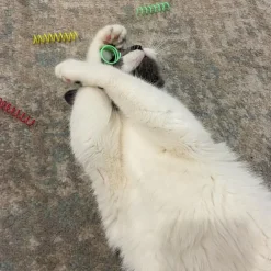 Spot Colorful Thin Springs Catnip Toy (10 pack)