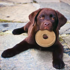Spot Dura-Fused Chunkies Leather Ring Chew Toy For Dogs