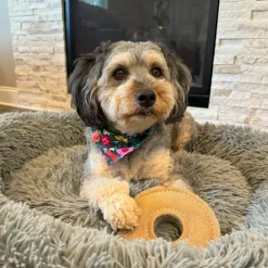 Spot Dura-Fused Chunkies Leather Ring Chew Toy For Dogs