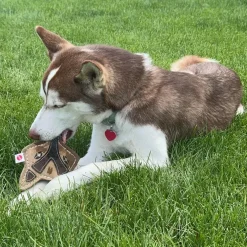 Spot Dura-Fused Chunkies Leather Fox Chew Toy For Dogs