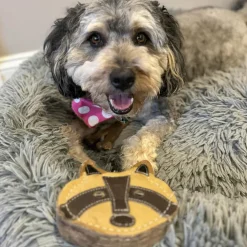 Spot Dura-Fused Chunkies Leather Racoon Chew Toy For Dogs