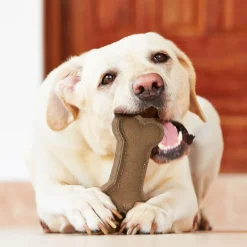 Spot Dura-Fused Chunkies Leather Bone Chew Toy For Dogs