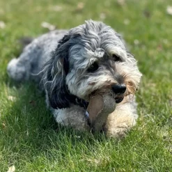 Spot Dura-Fused Chunkies Leather Bone Chew Toy For Dogs
