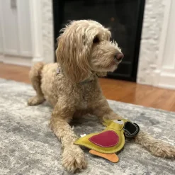 Spot Dura-Fused Colors Leather Parrot Dog Toy - Assorted colors