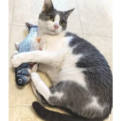 Spot Flippin' Fish Cat Toy