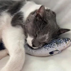 Spot Flippin' Fish Cat Toy