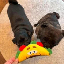 Spot Fun Food Plush Dog Toy Taco Multi-Color, Small, 6