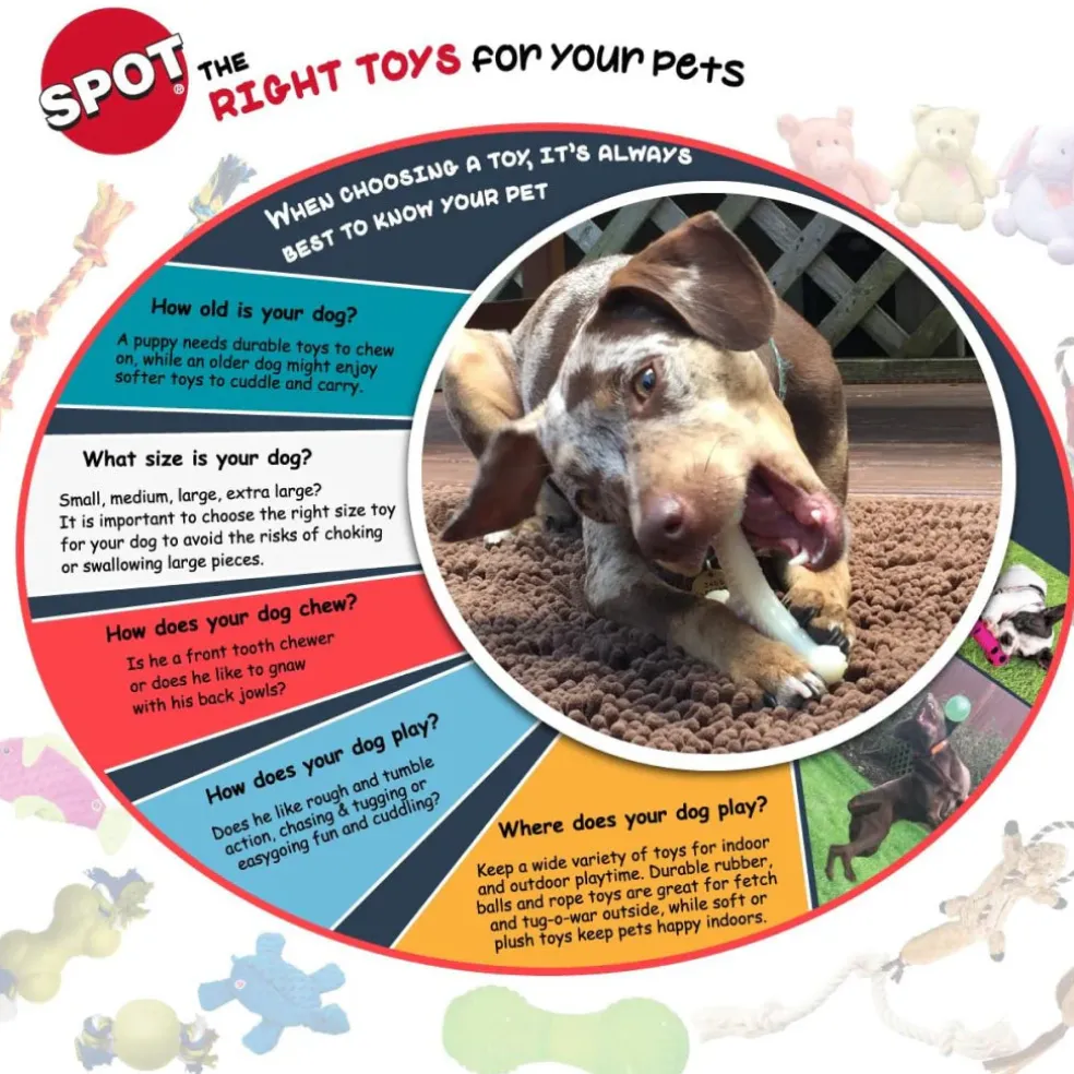 Spot Play Strong Dog Toy Stick (12")