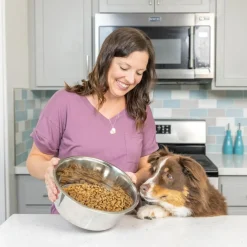 Spot Stainless Steel Mirror Finish Dog & Cat Bowl