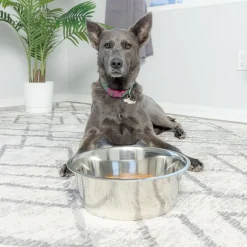 Spot Stainless Steel Mirror Finish Dog & Cat Bowl