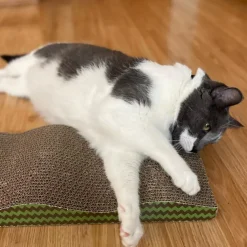 Spot Wave Scratcher For Cats 17