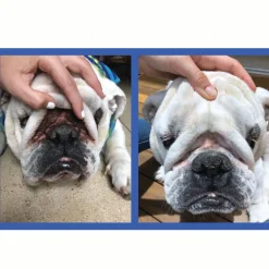 Squishface Wrinkle Paste Skin Fold Cleaner for Dogs (2 oz)