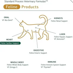 Standard Process Feline Cardiac Support (90 tablets)