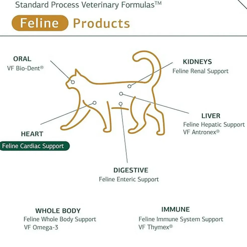 Standard Process Feline Cardiac Support (90 tablets)