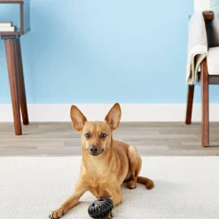 Starmark Everlasting Treat Wheeler Tough Dog Chew Toy