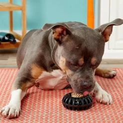 Starmark Everlasting Treat Wheeler Tough Dog Chew Toy