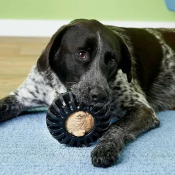 Starmark Everlasting Treat Wheeler Tough Dog Chew Toy