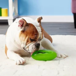 Starmark Pickle Pocket Treat Dispensing Dog Toy, Green/Yellow, One Size