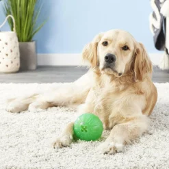 Starmark Treat Dispensing Chew Ball Tough Dog Toy