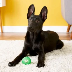 Starmark Treat Dispensing Chew Ball Tough Dog Toy