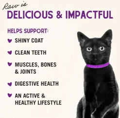 Stella & Chewy's Absolutely Rabbit Dinner Morsels Freeze-Dried Raw Food for Cats