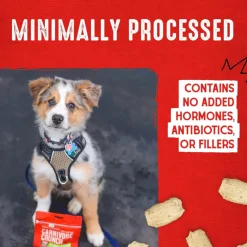 Stella & Chewy's Carnivore Crunch Cage-Free Duck Recipe Freeze-Dried Raw Treats Dog (3.25 oz)